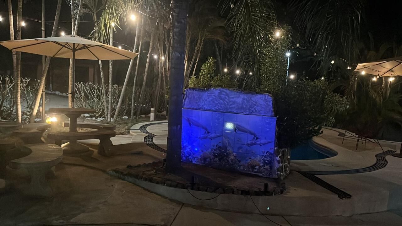 Photo of Outdoor in Mansion