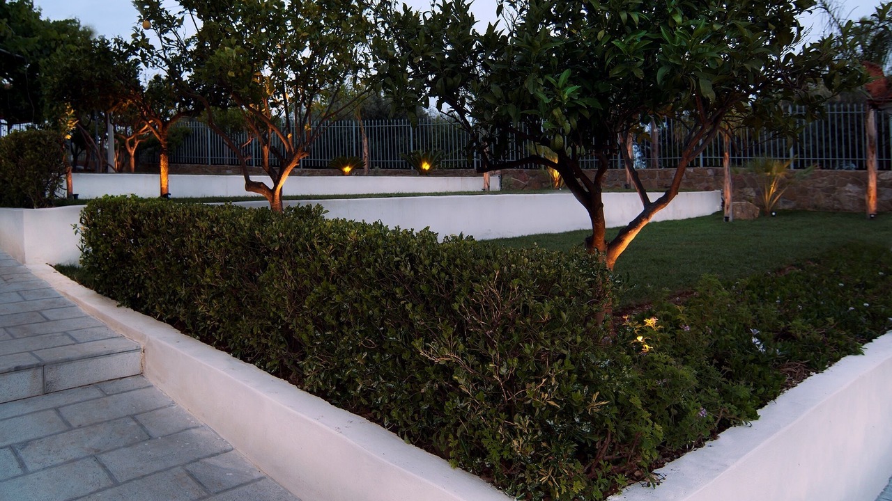 Photo of Outdoor in Nea Tirintha