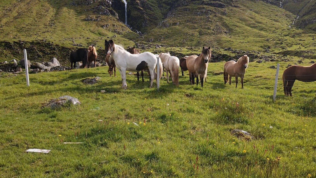Photo of Outdoor in Grundarfjordur