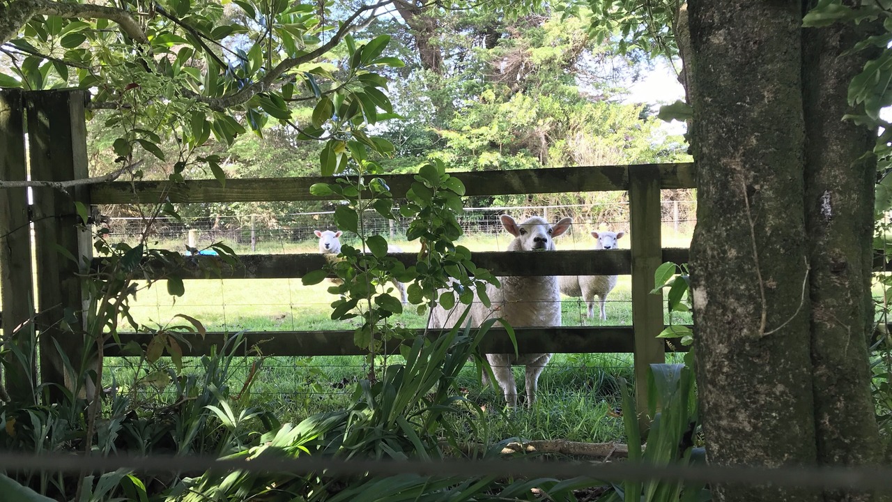 Photo of Outdoor in Westport