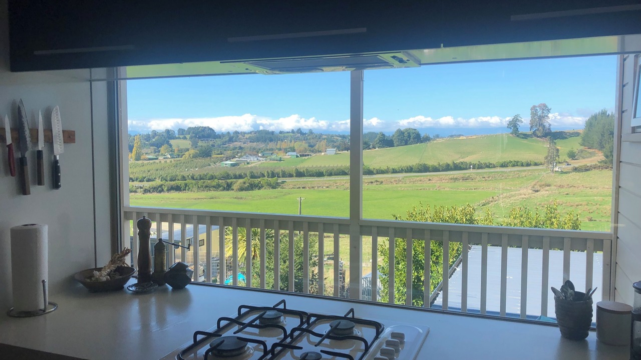 Photo of Kitchen in Tasman