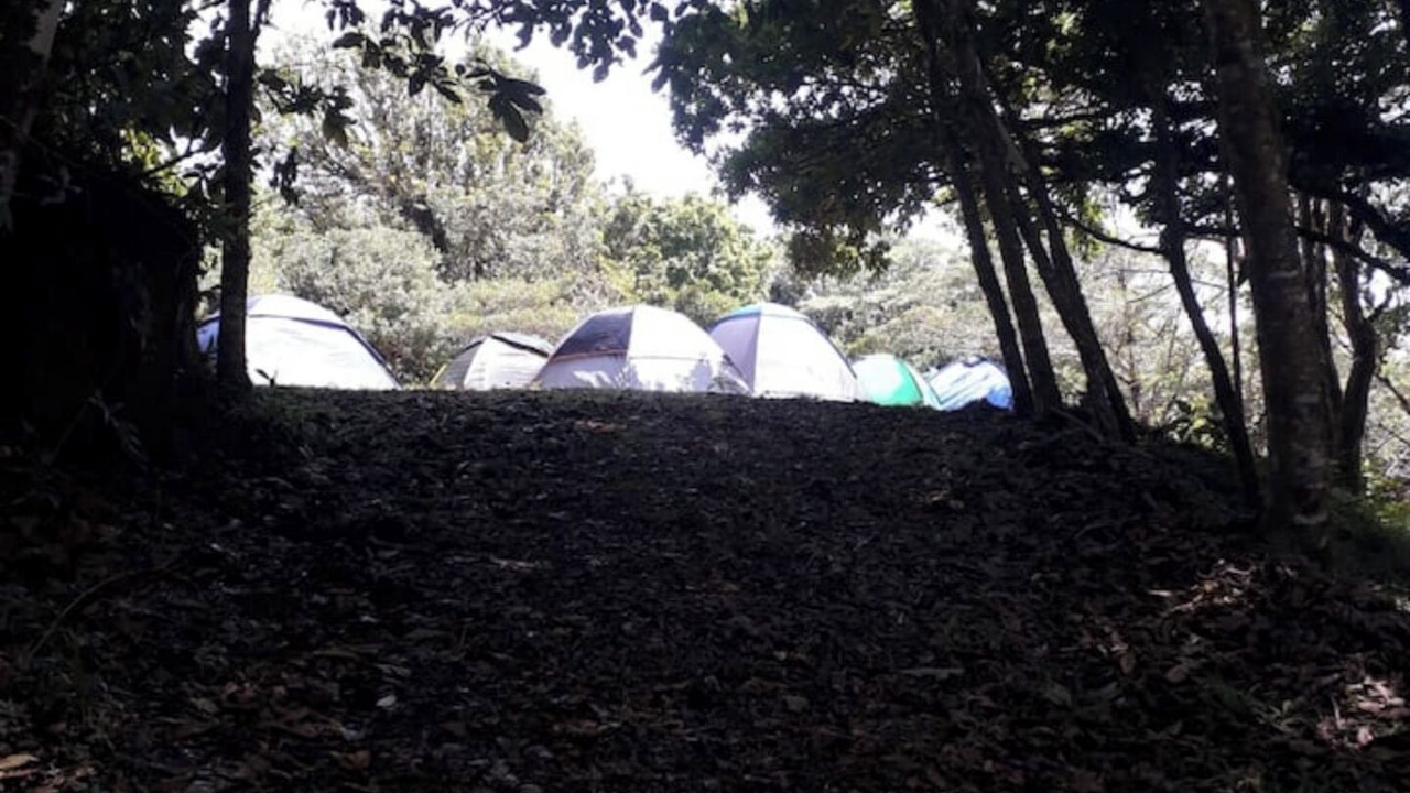 Photo of Outdoor in Roble