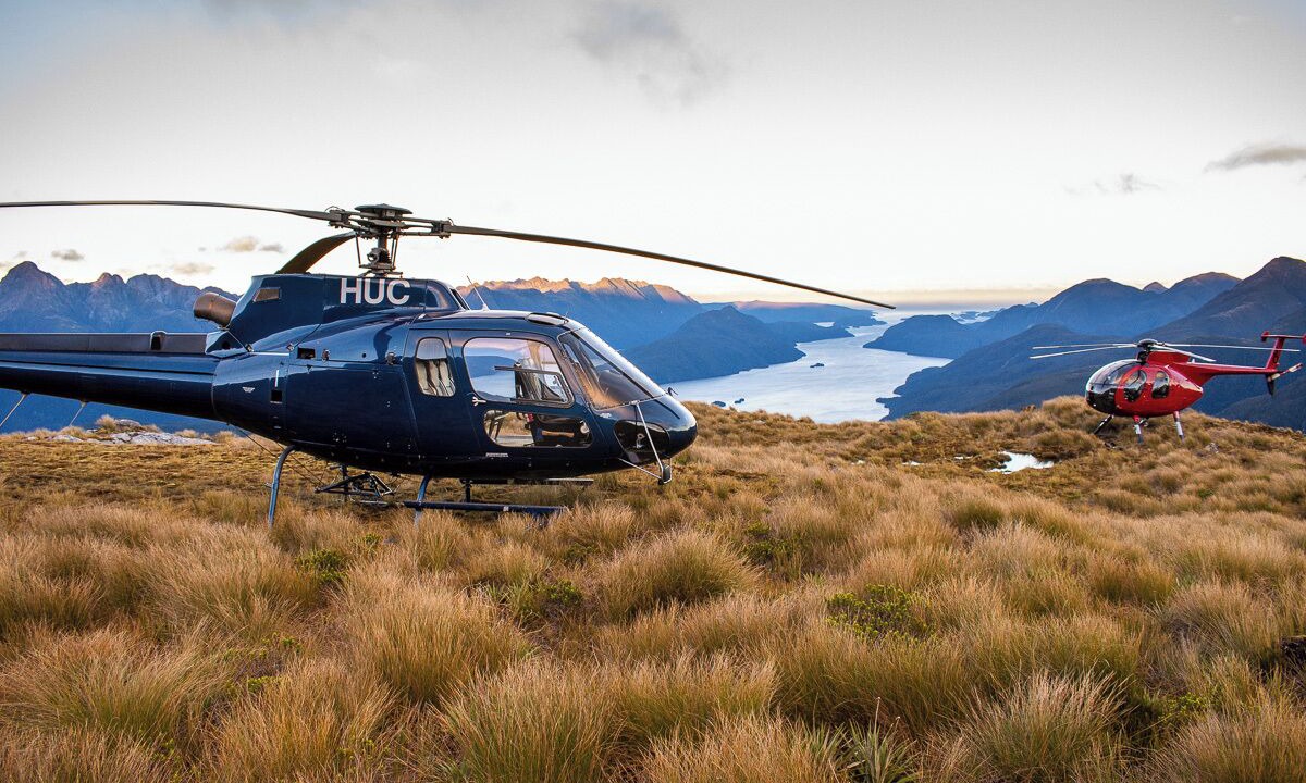 Photo of Others in Te Anau
