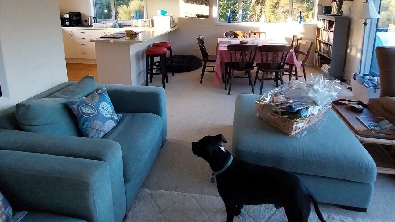 Photo of Livingroom in Mahau Sound