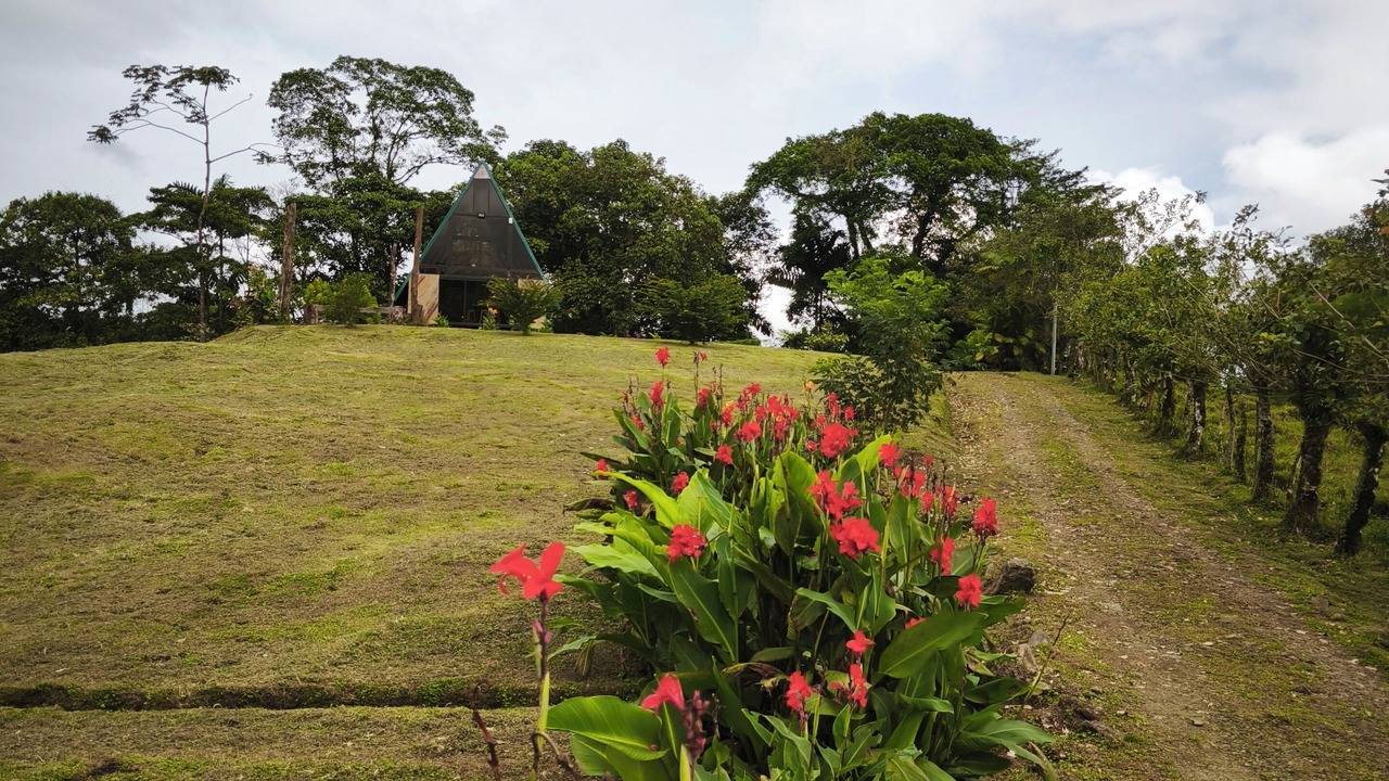 Photo of Outdoor in Colonia del Toro