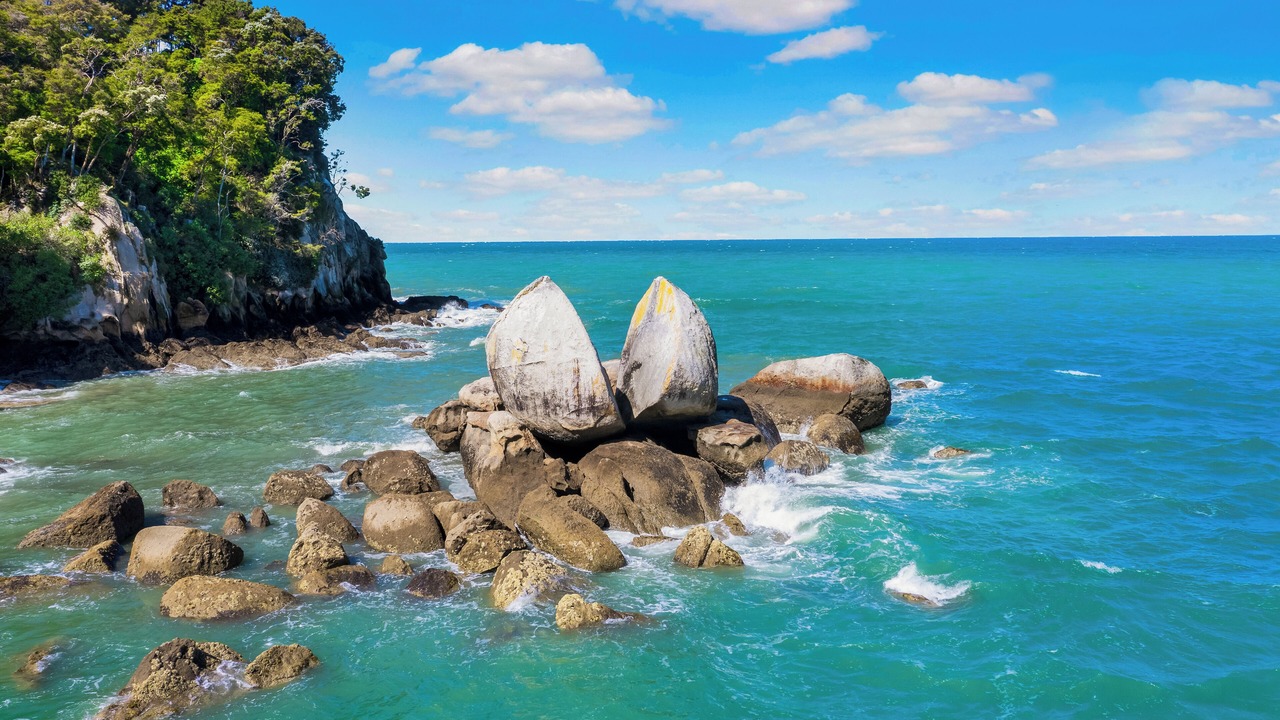 Photo of Others in Ngaio Bay