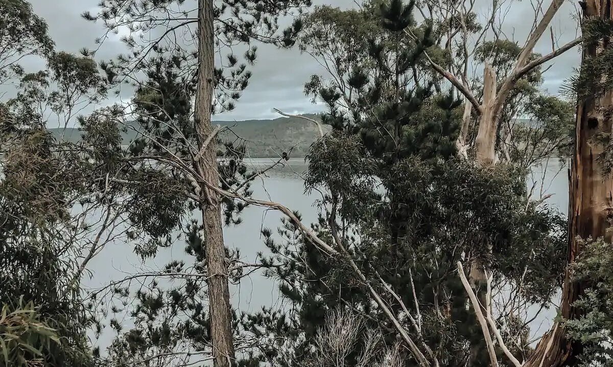 Photo of Others in Lower Wattle Grove