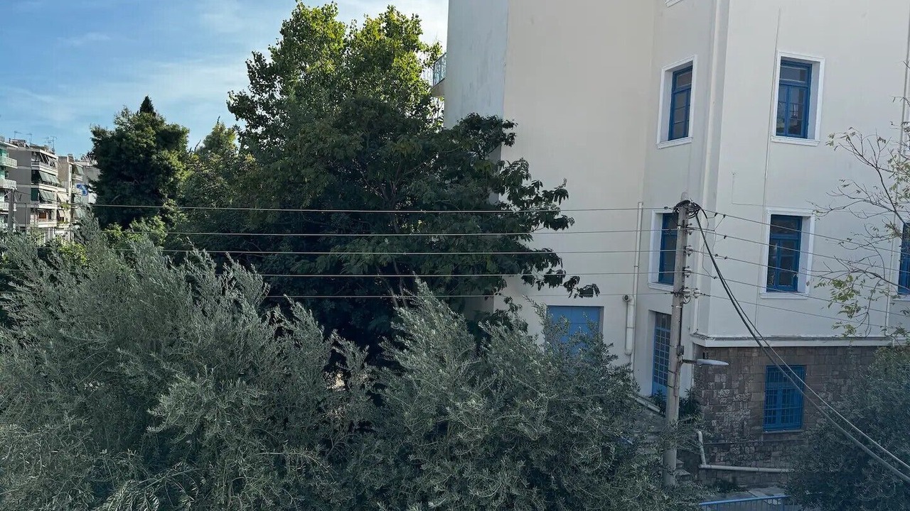 Photo of Others in Kinosargous