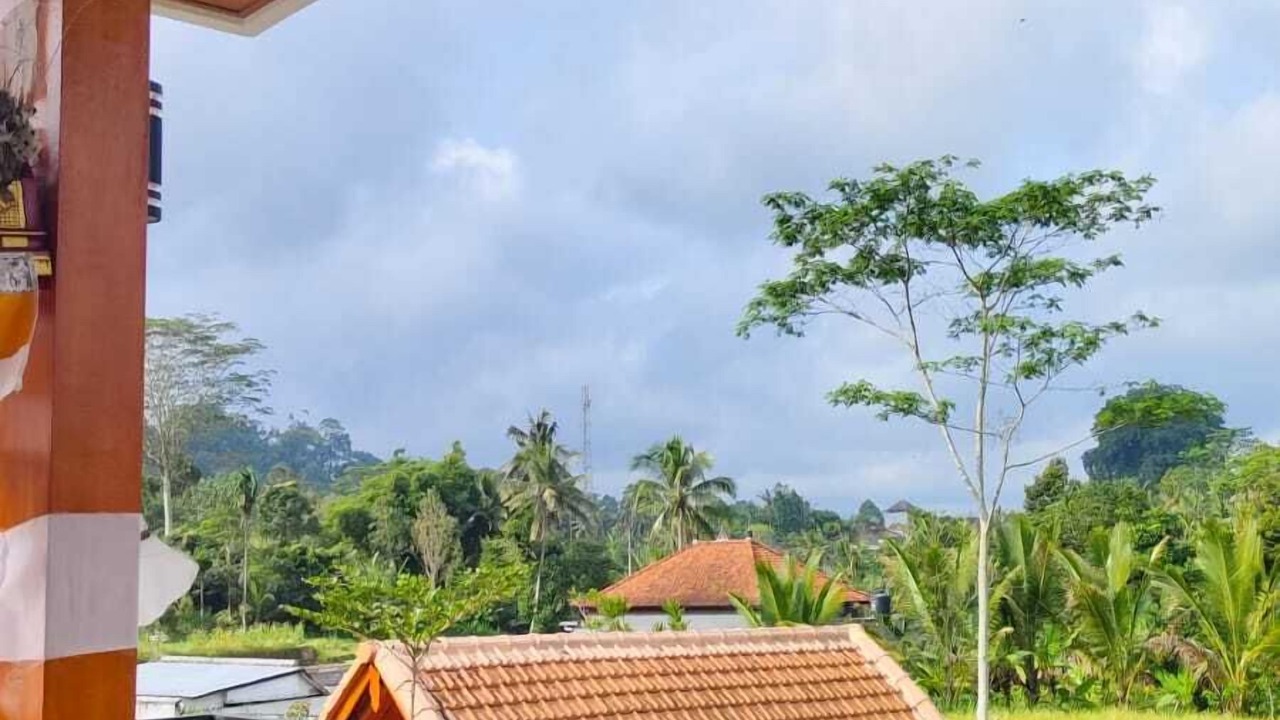 Photo of Outdoor in Tembuku
