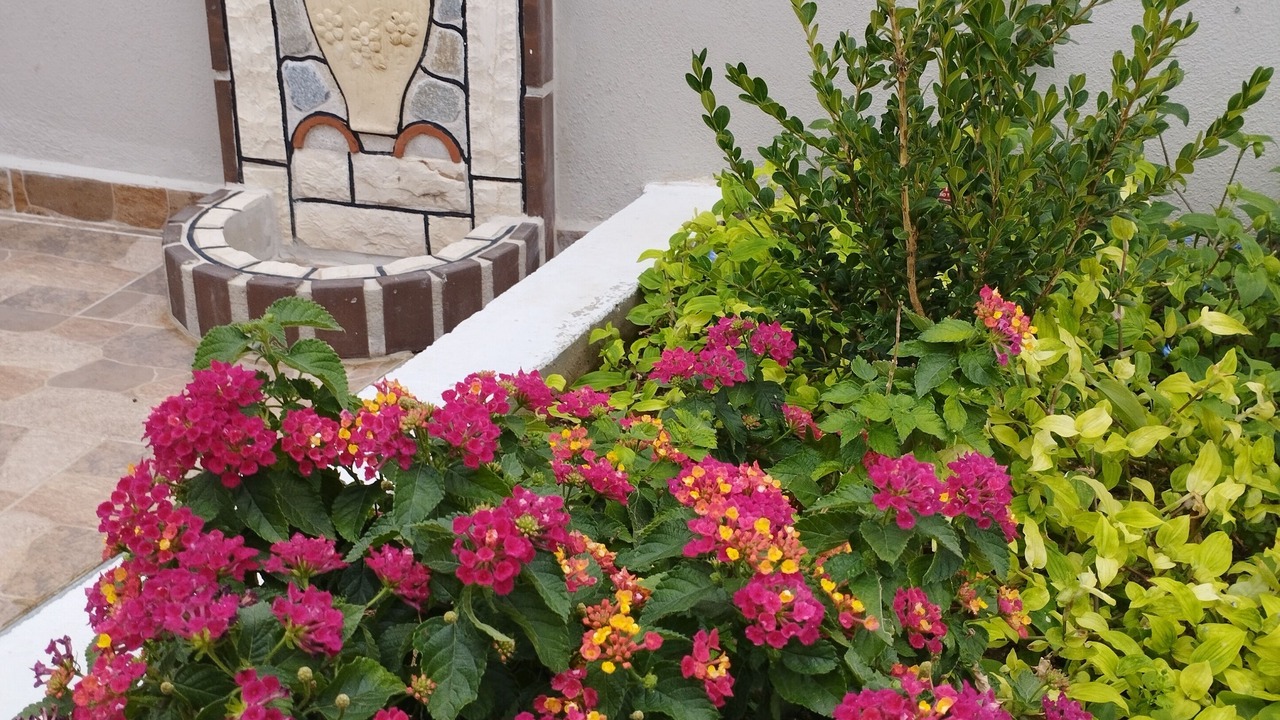 Photo of Outdoor in Maroneia-Sapes