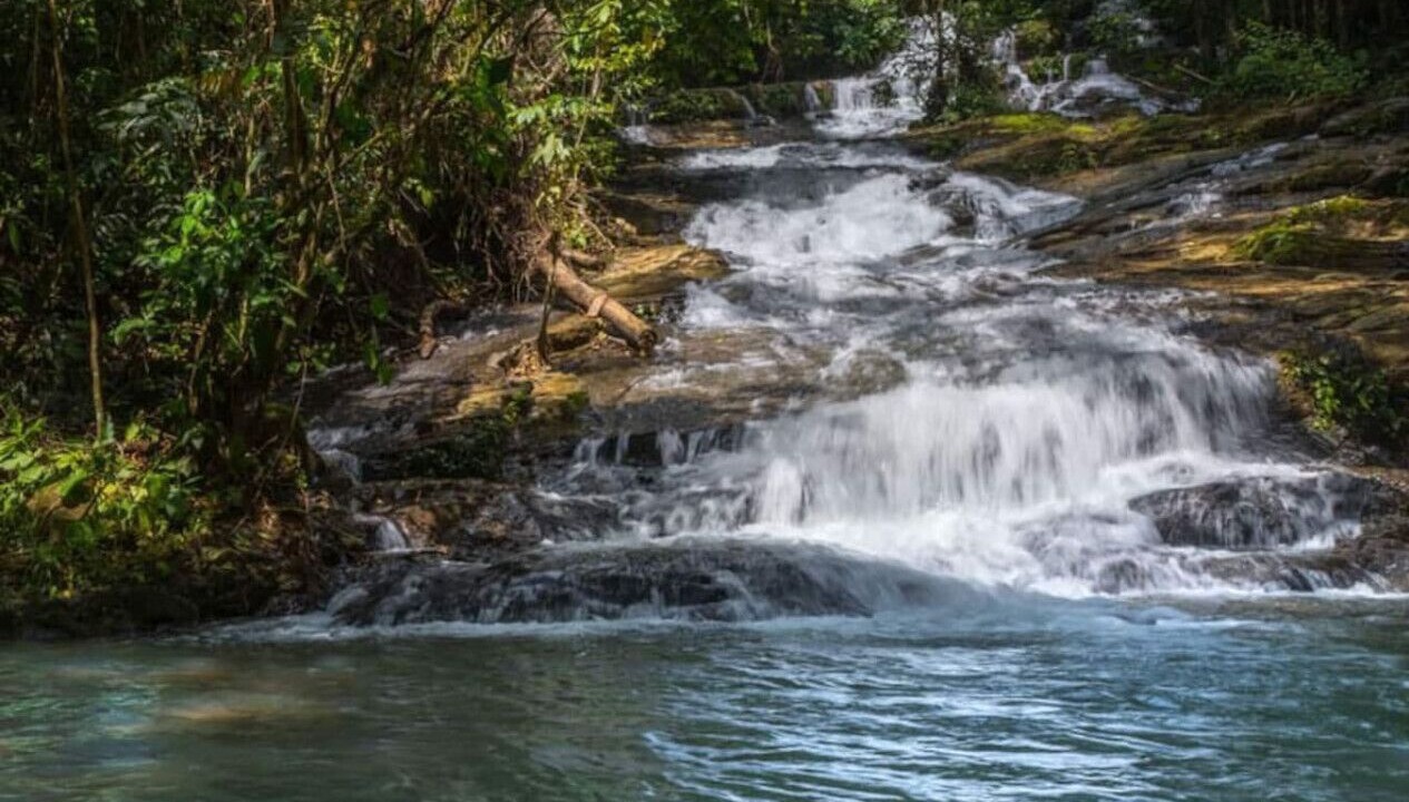 Photo of Others in Platanillo