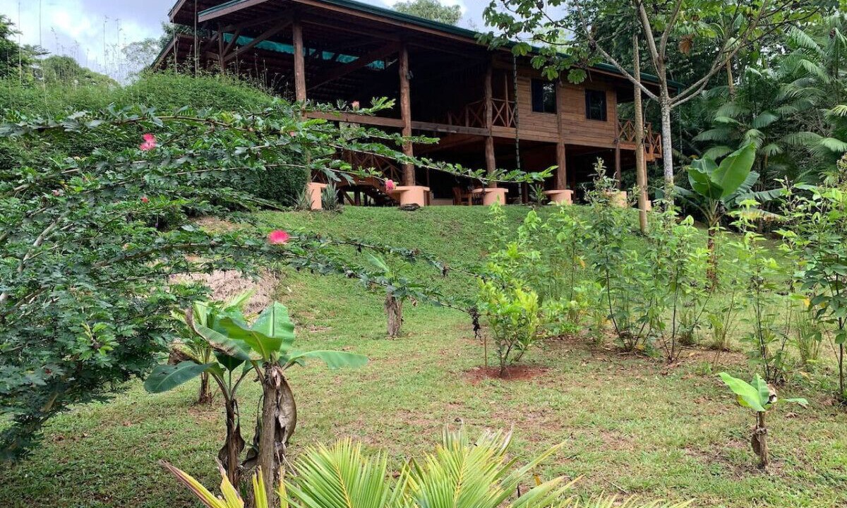 Photo of Outdoor in Platanillo