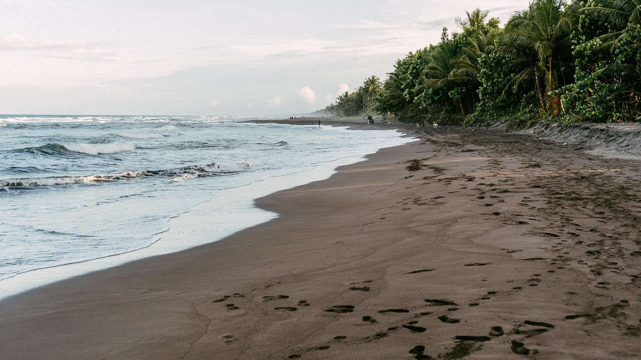 Photo of Others in Tortuguero