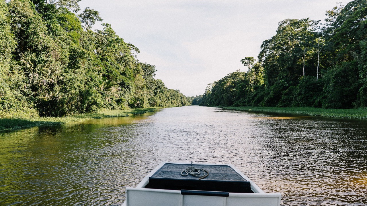 Photo of Others in Tortuguero