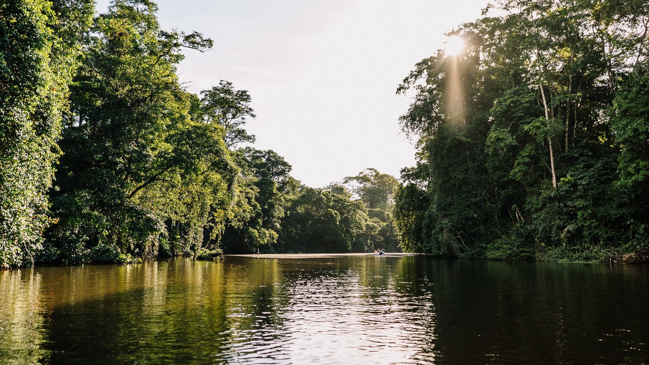 Photo of Others in Tortuguero