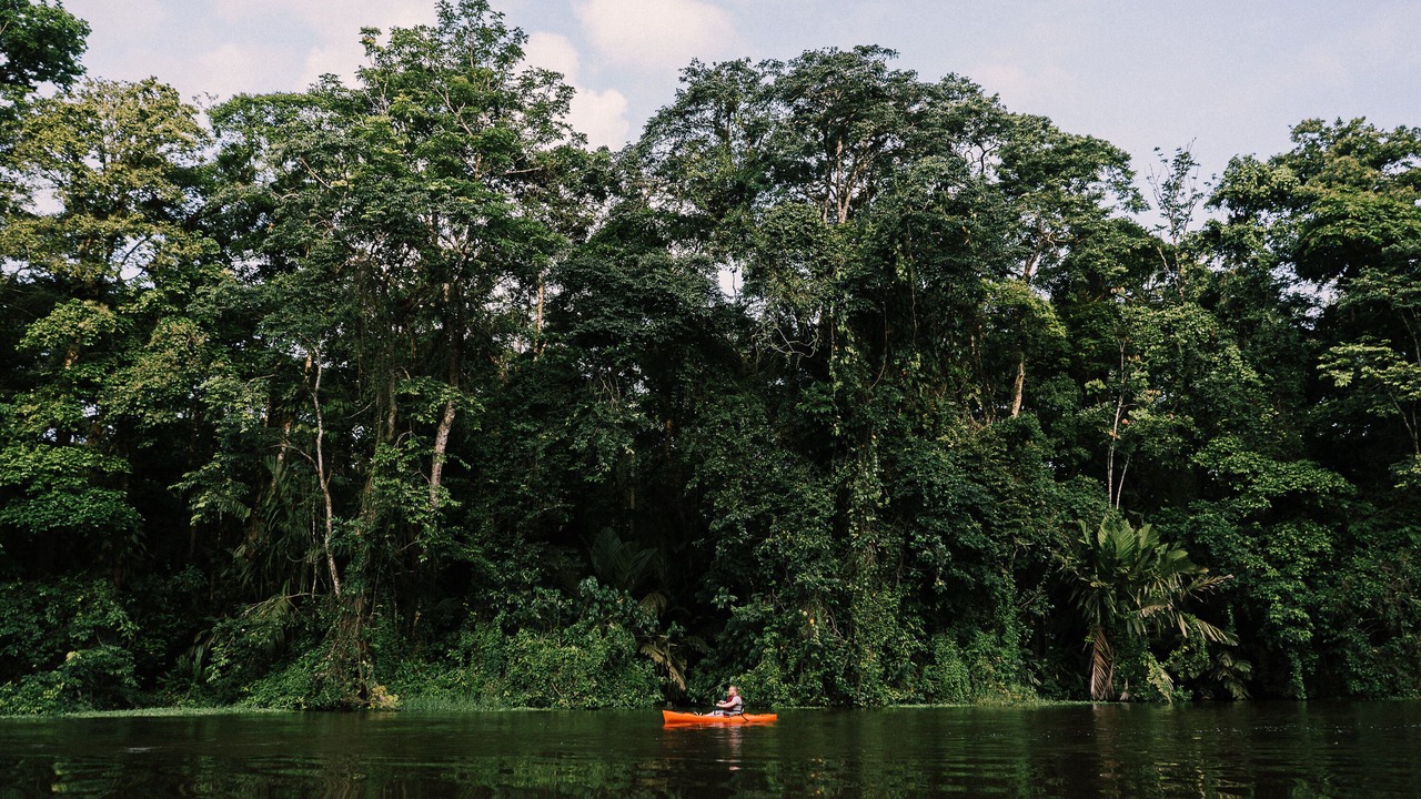 Photo of Others in Tortuguero