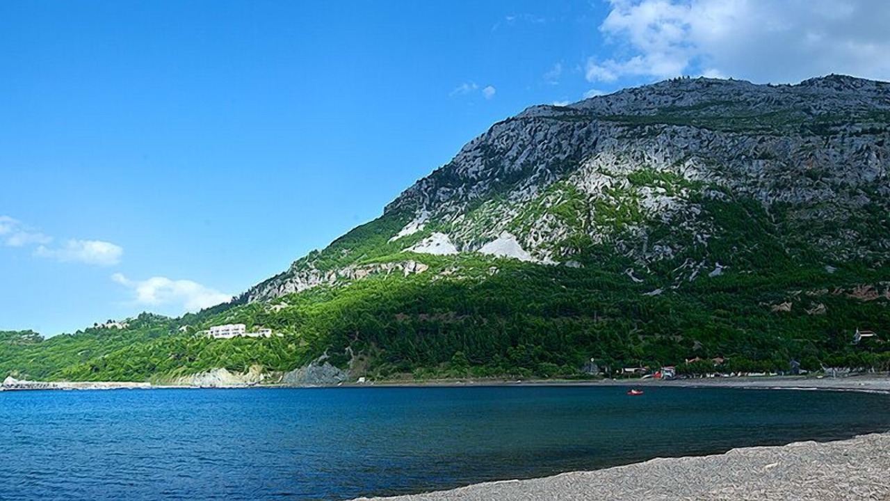 Photo of Others in Pilio