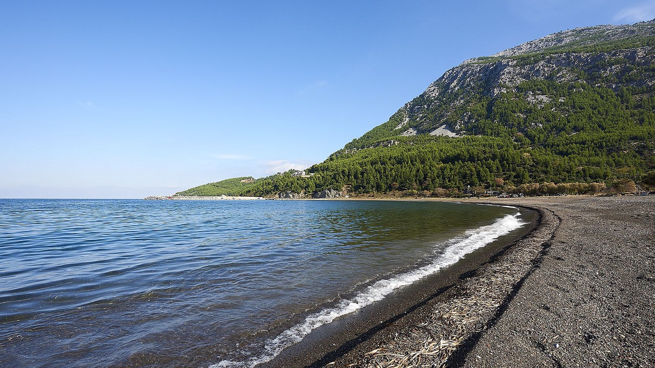 Photo of Others in Pilio