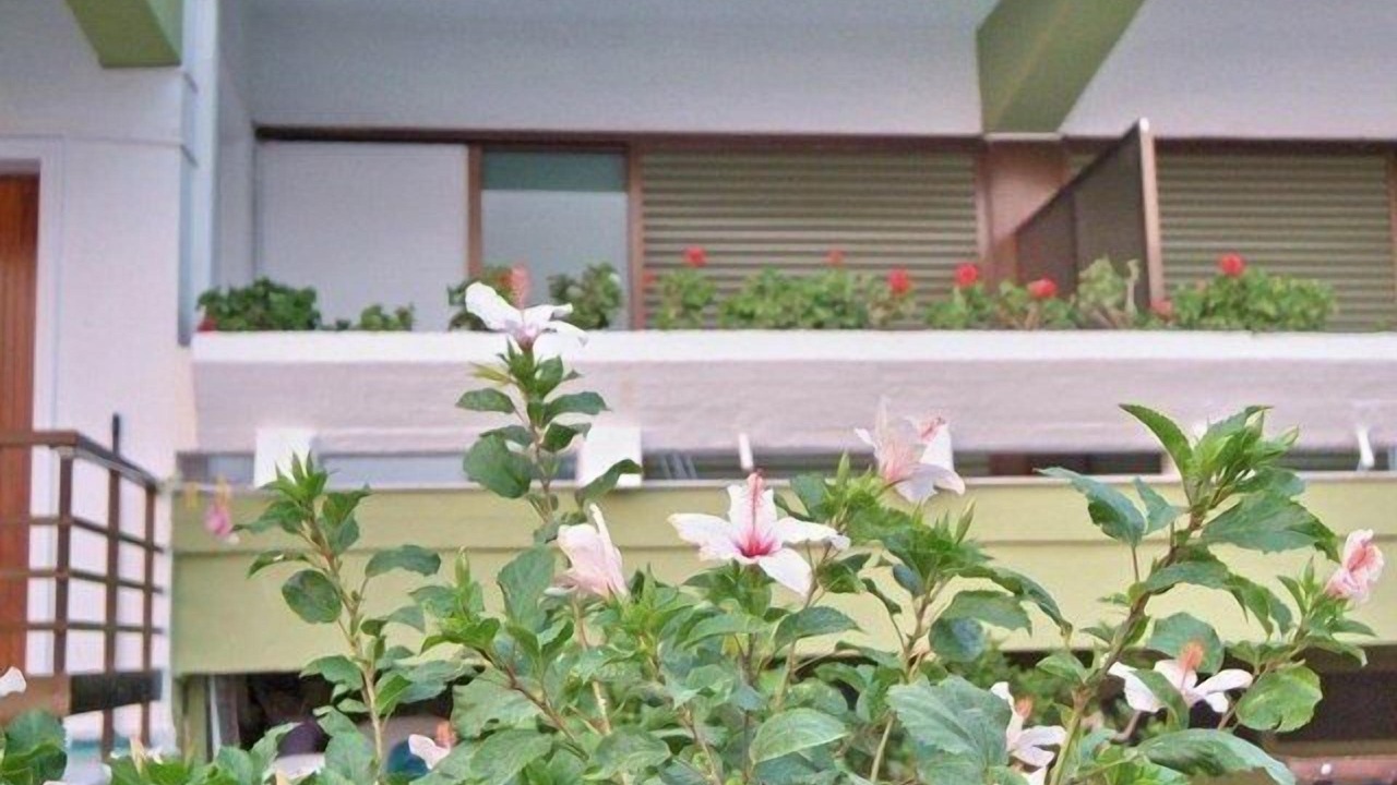 Photo of Outdoor in Akrogialion