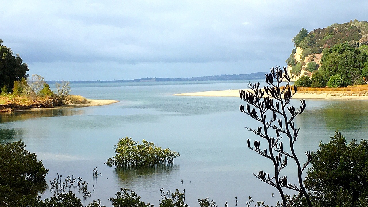 Photo of Others in Mahurangi West