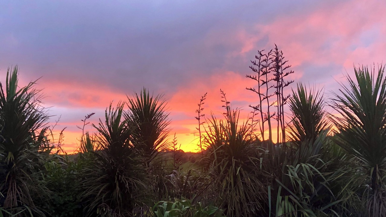 Photo of Others in Mahurangi West