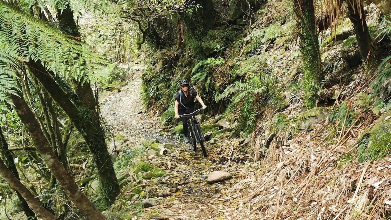Photo of Others in Murchison