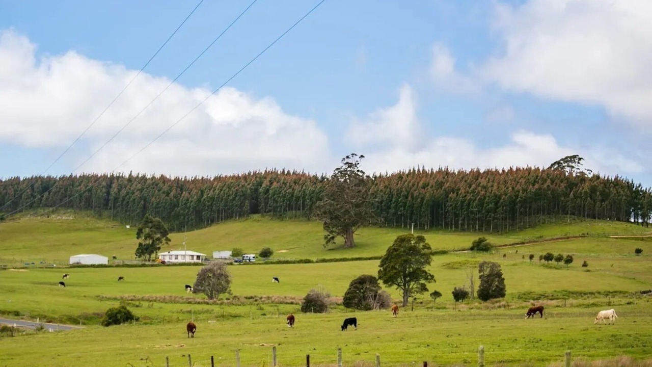 Photo of Others in Staverton