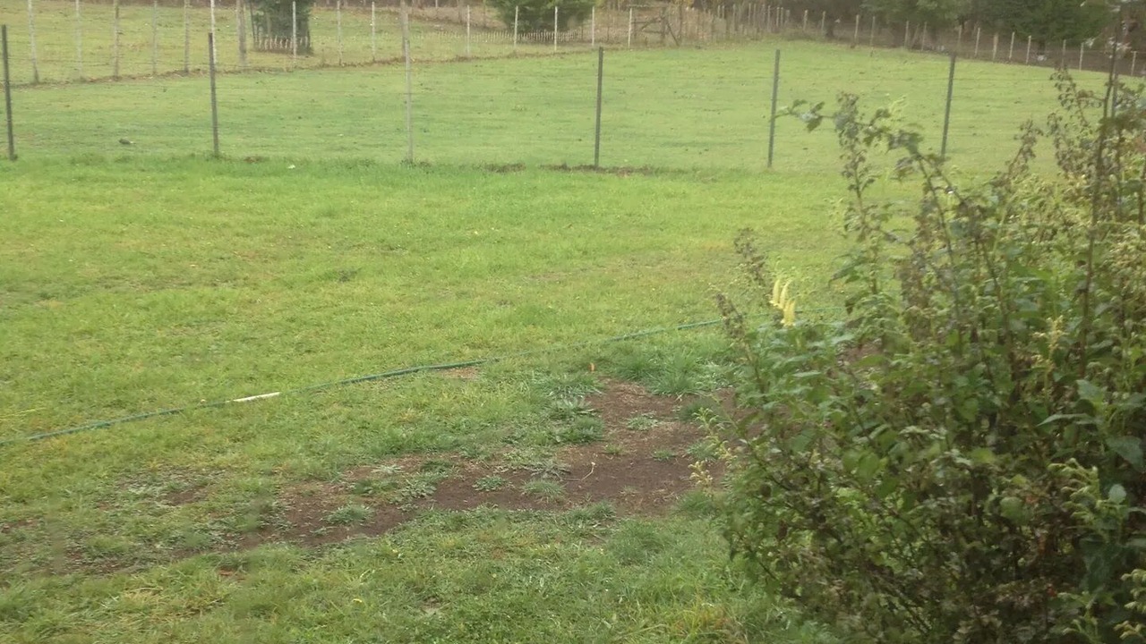 Photo of Outdoor in Staverton