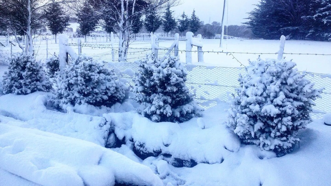 Photo of Outdoor in Staverton