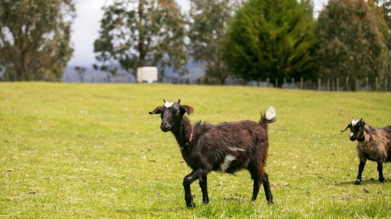 Photo of Others in Staverton