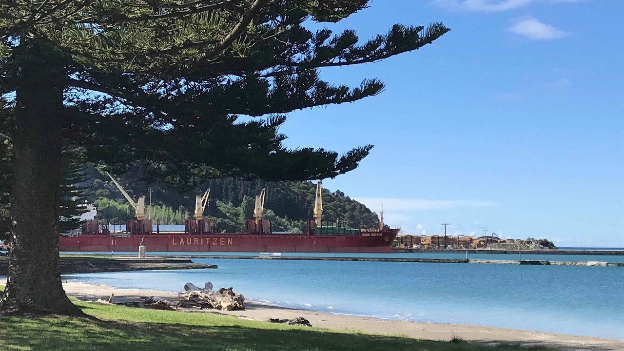 Photo of Others in Gisborne