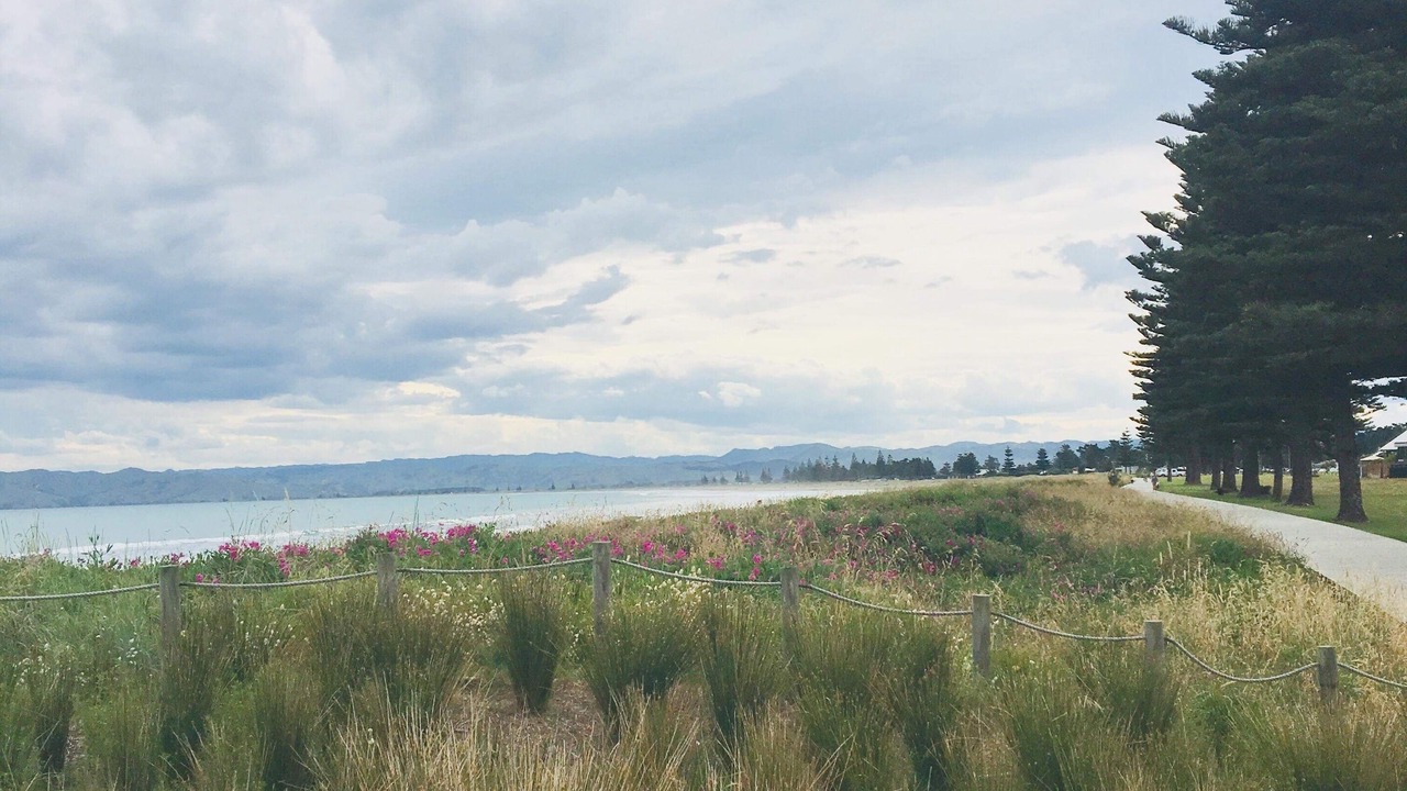 Photo of Others in Gisborne