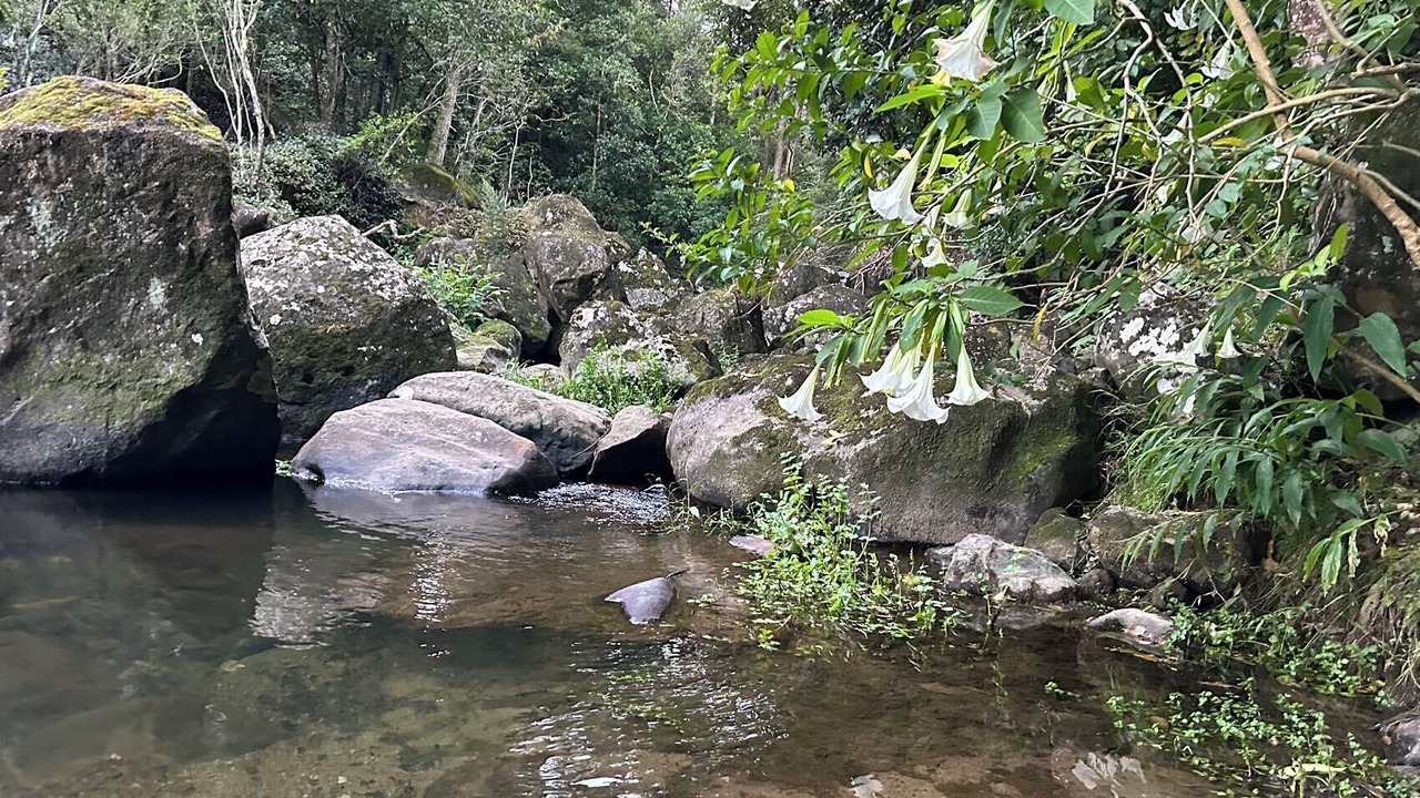 Photo of Others in Whangarei