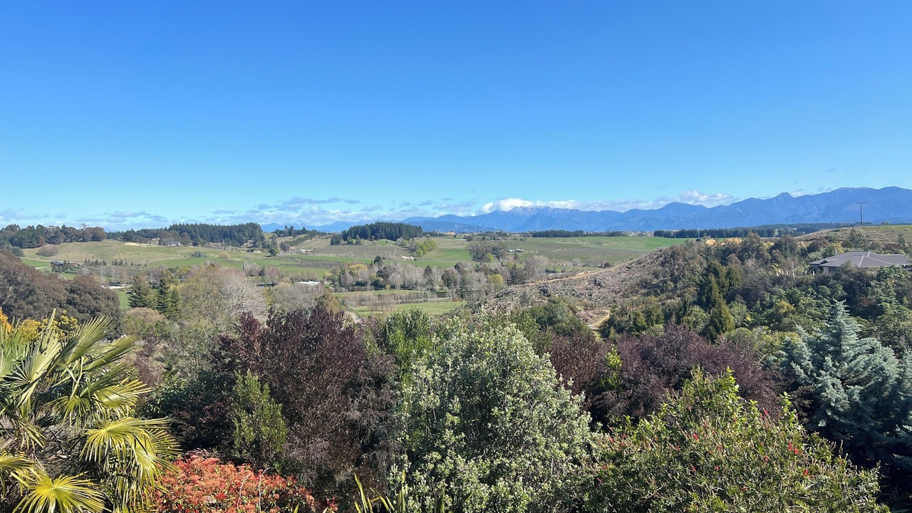 Photo of Others in Tasman