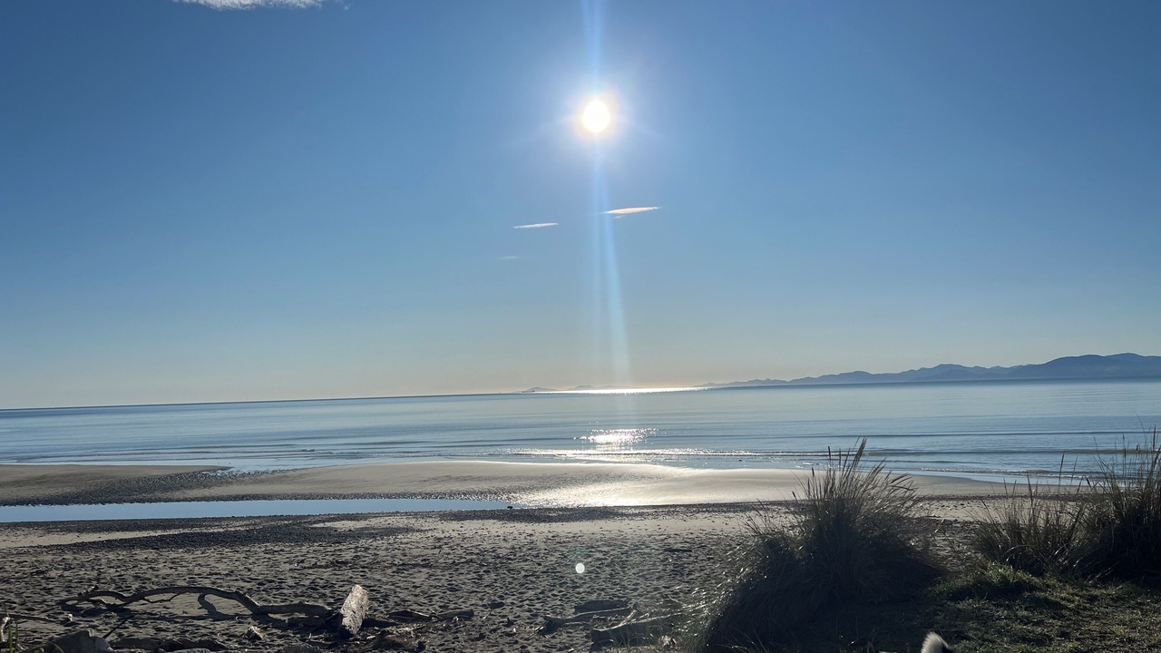Photo of Others in Tasman