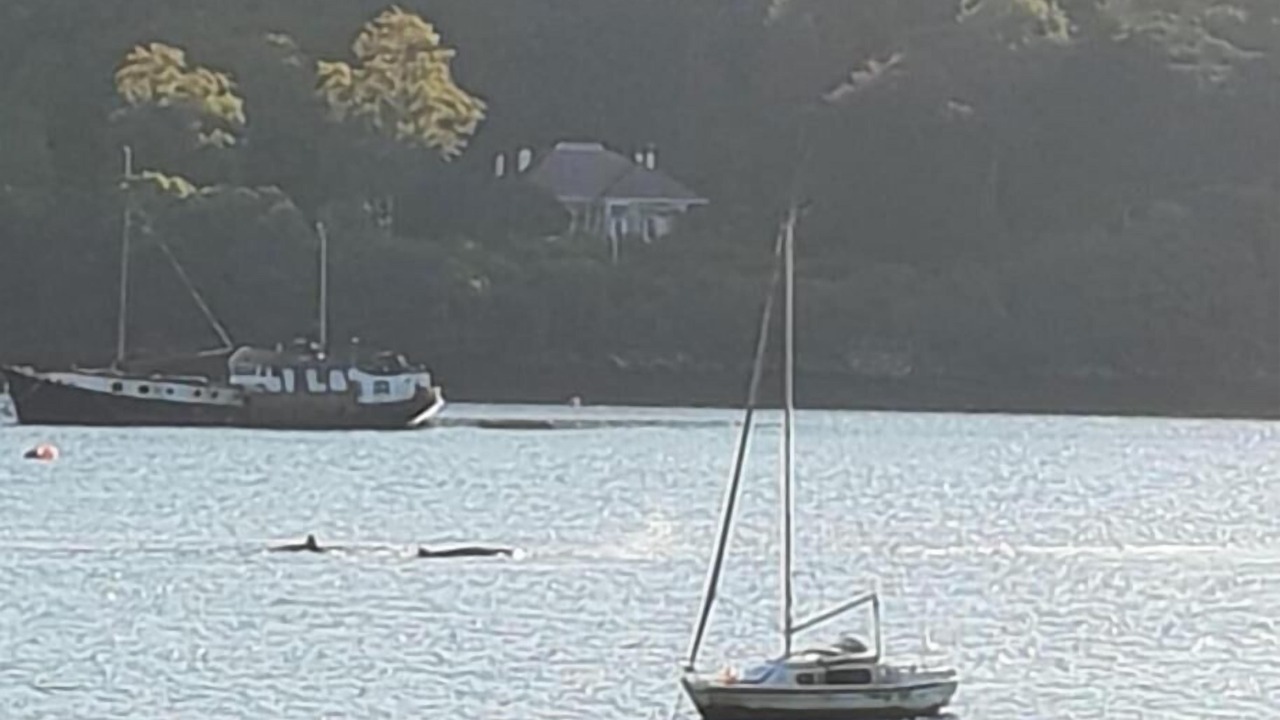 Photo of Others in Garelochhead