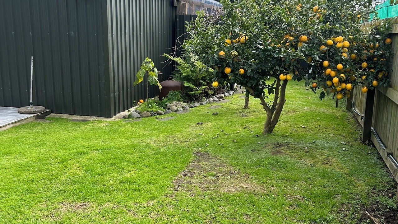 Photo of Outdoor in Te Kaha