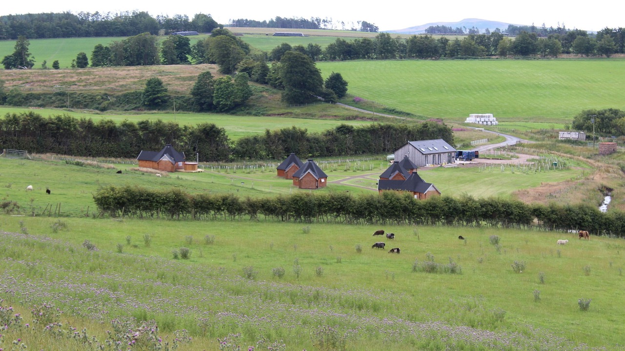 Photo of Outdoor in Duns