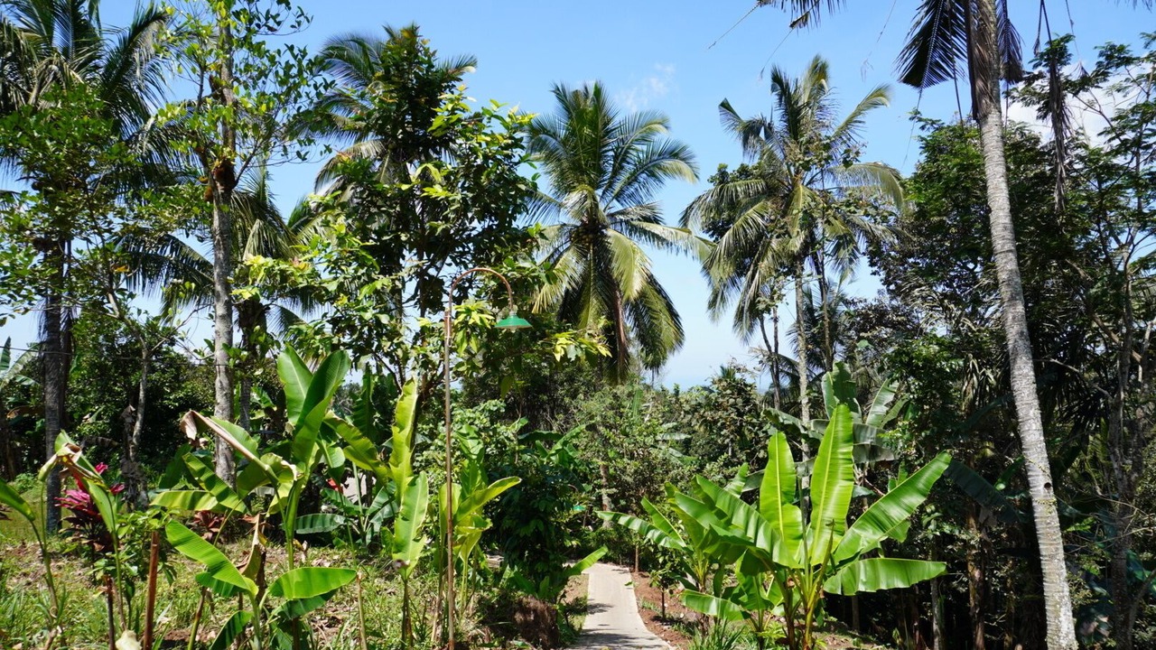Photo of Outdoor in Banyuwangi