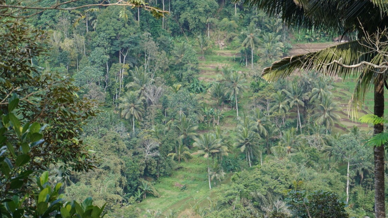 Photo of Bedroom in Banyuwangi