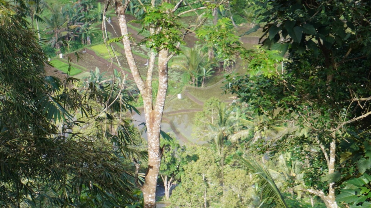 Photo of Bedroom in Banyuwangi