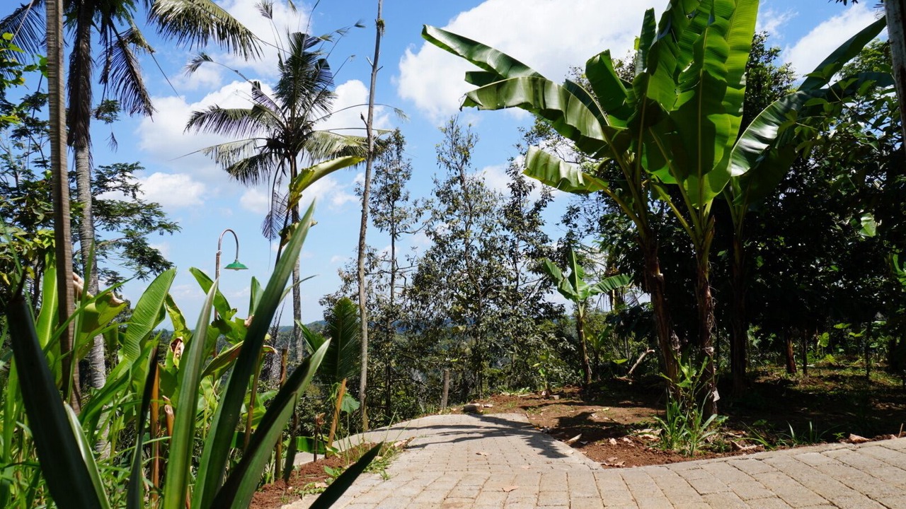 Photo of Outdoor in Banyuwangi