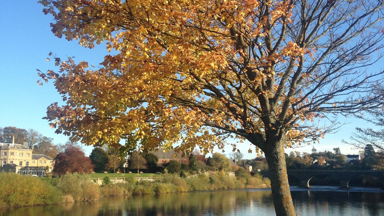 Photo of Outdoor in Melrose