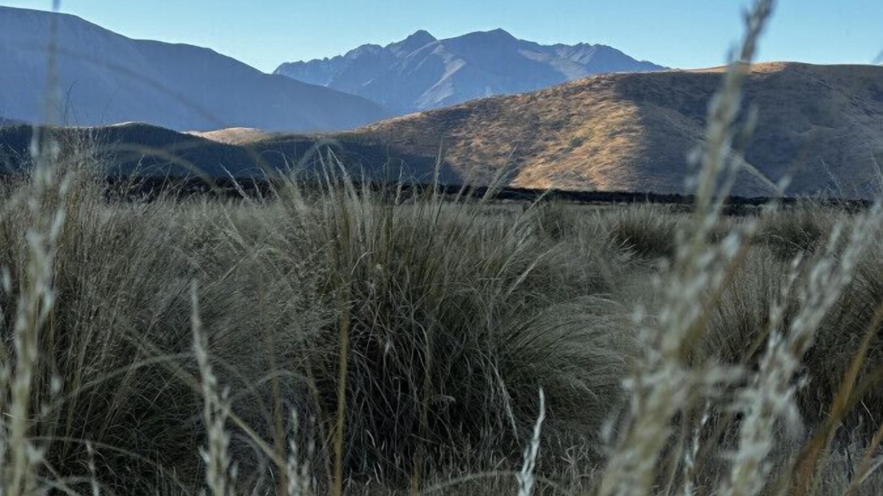 Photo of Outdoor in Ben Ohau