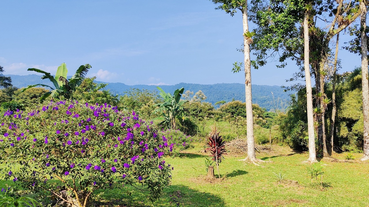 Photo of Outdoor in Guapiles