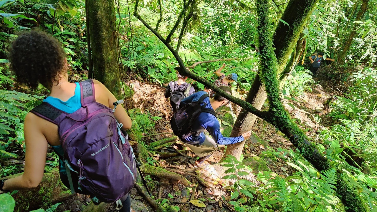 Photo of Others in Guapiles