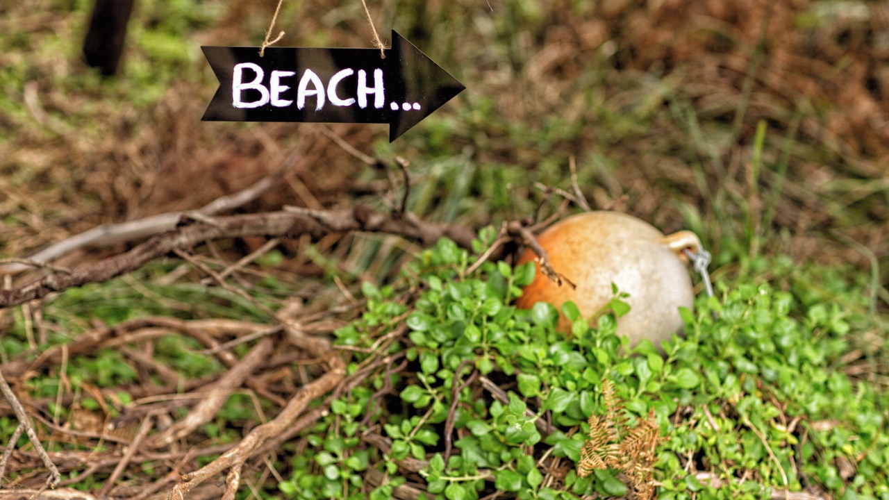Photo of Outdoor in Great Bay