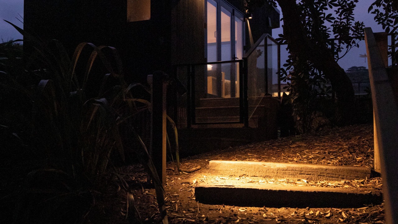 Photo of Outdoor in Piha