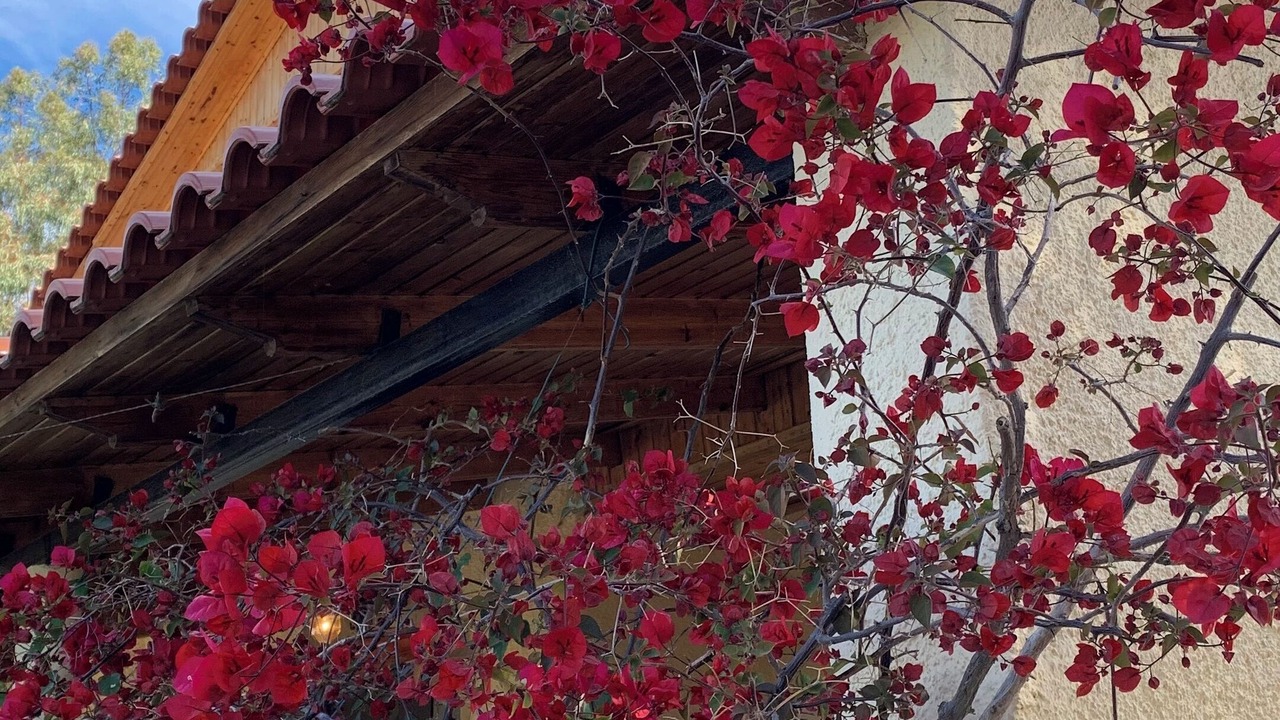Photo of Outdoor in Lefkandi