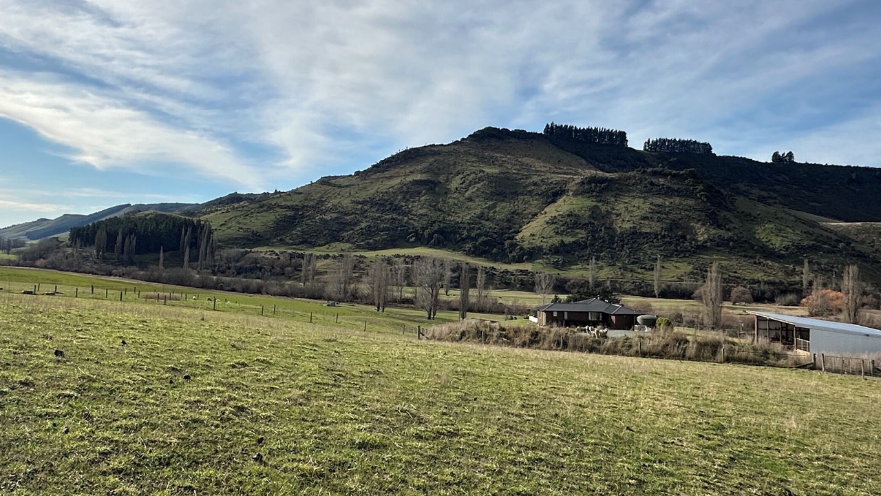 Photo of Others in Waimate District
